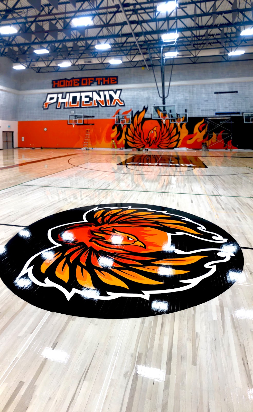 Titan Sport Systems | 8458 23 Ave NE, Calgary, AB T1Y 7H1, Canada | Phone: (587) 318-4150