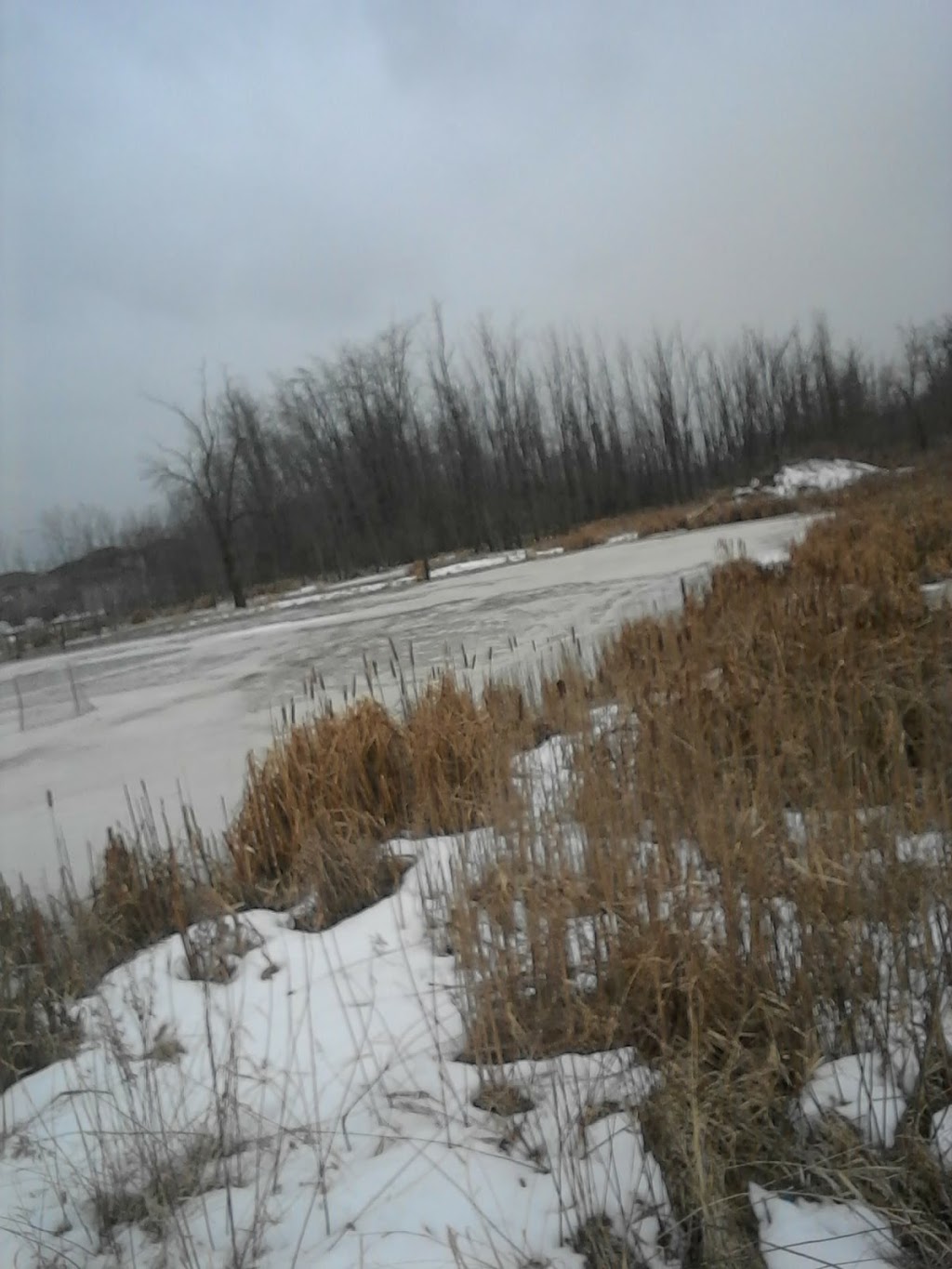 Dunsmore Park | 165 Dunsmore Ln, Barrie, ON L4M 6Z8, Canada