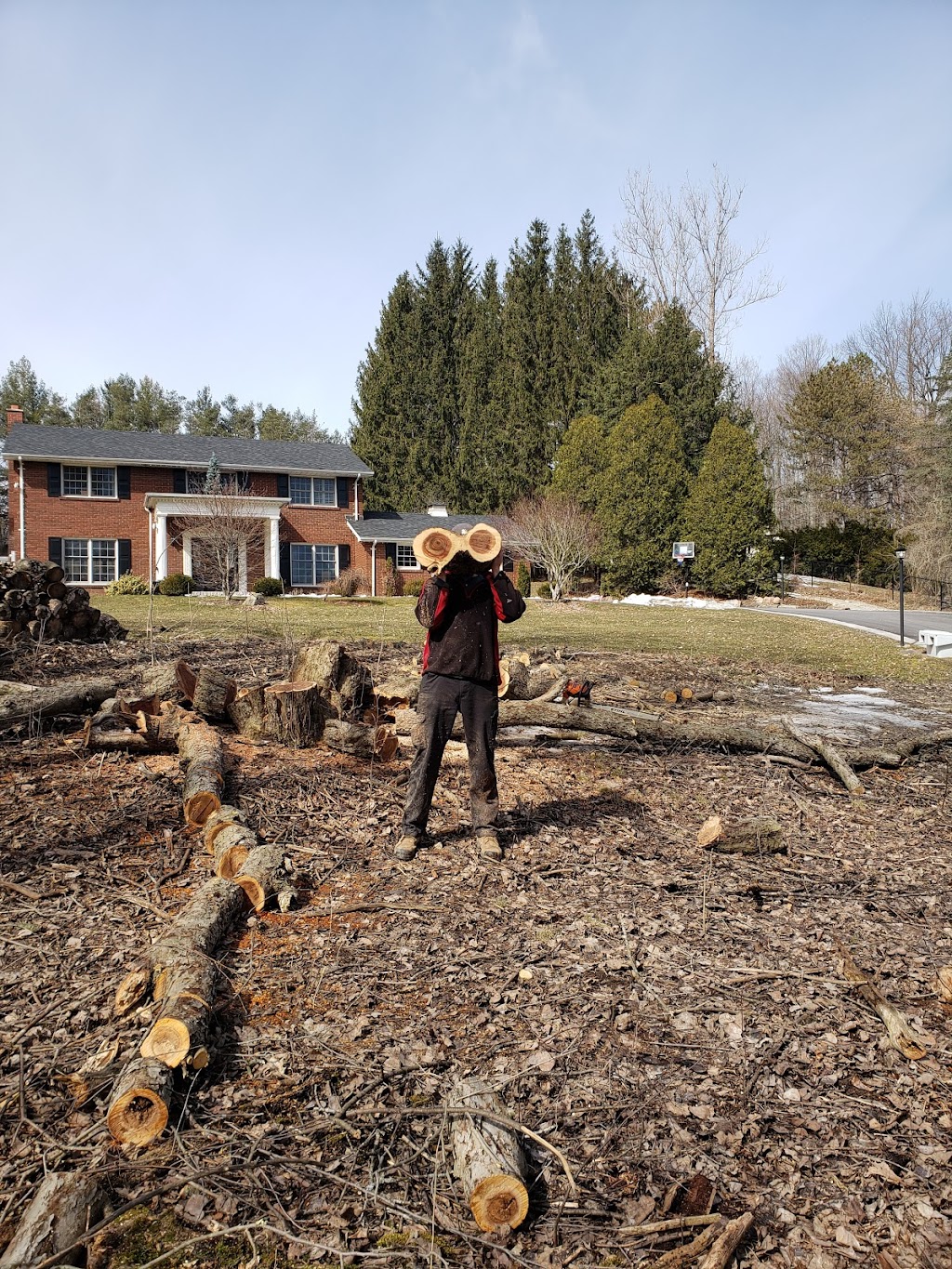 Branchbusters Expert Tree Care | 19625 Main St, Alton, ON L7K 0E1, Canada | Phone: (905) 859-4004