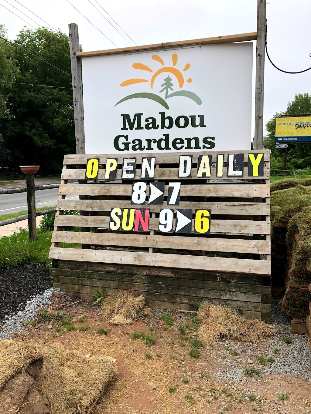 Mabou Gardens | 233 Waverley Rd, Dartmouth, NS B2X 2C5, Canada | Phone: (902) 462-2414