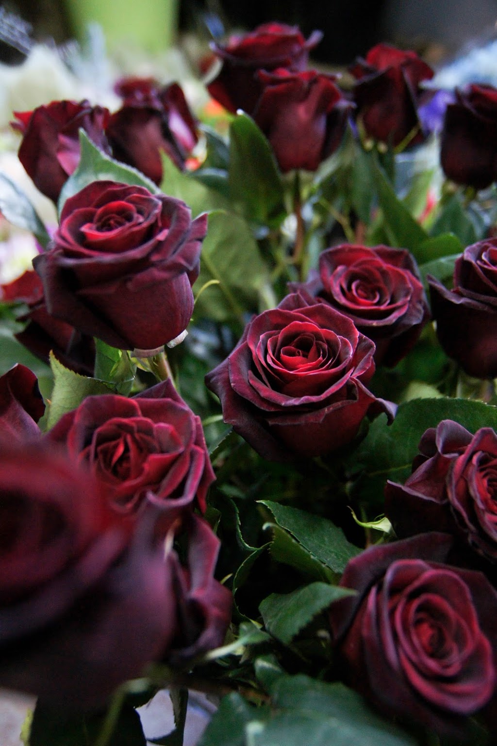Sonias Flowers | 5085 48 Ave #102, Delta, BC V4K 1W1, Canada | Phone: (778) 885-8684