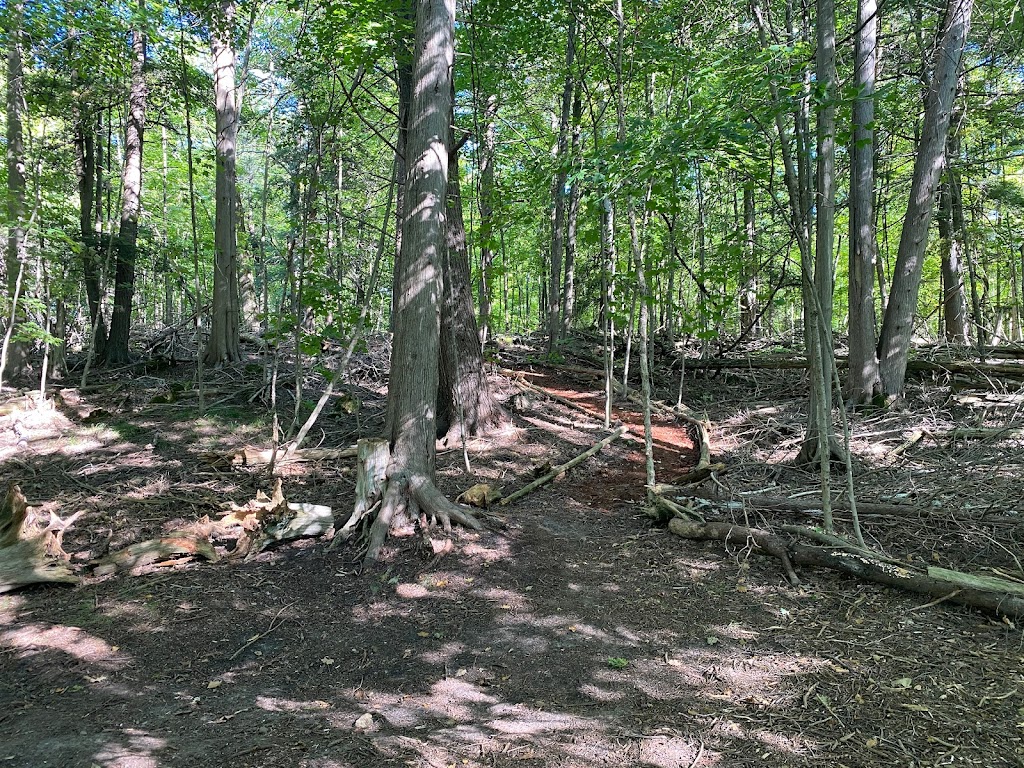Camping on 137 Acres | 6508 17 Side Rd, Halton Hills, ON L7J 2M1, Canada | Phone: (416) 527-3971