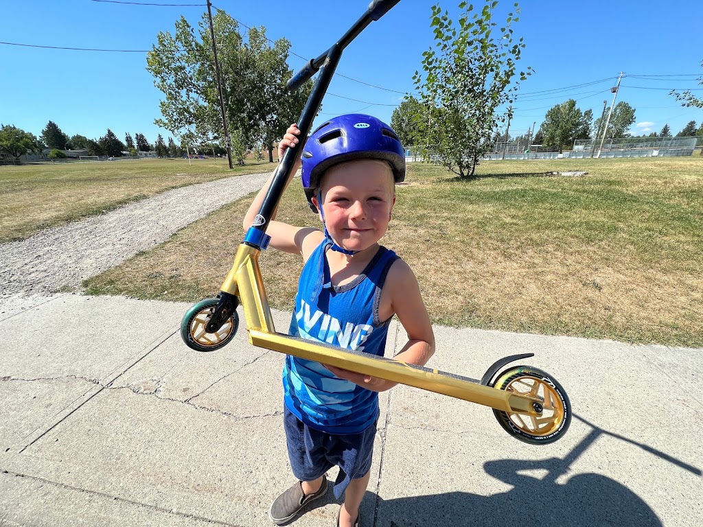 Vermin Scooter Shop | 6418 1a St SW, Calgary, AB T2H 0G6, Canada | Phone: (403) 283-7646