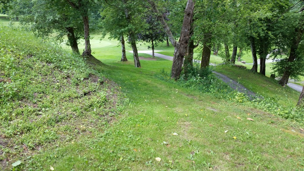 Maple Ridge Golf Course | 20818 Golf Ln, Maple Ridge, BC V2X 1M2, Canada | Phone: (604) 465-9221