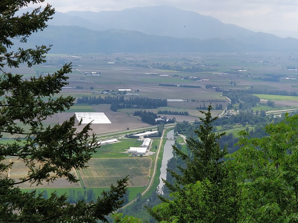 The abby grind | Lakemount Rd, Abbotsford, BC V3G 2T2, Canada
