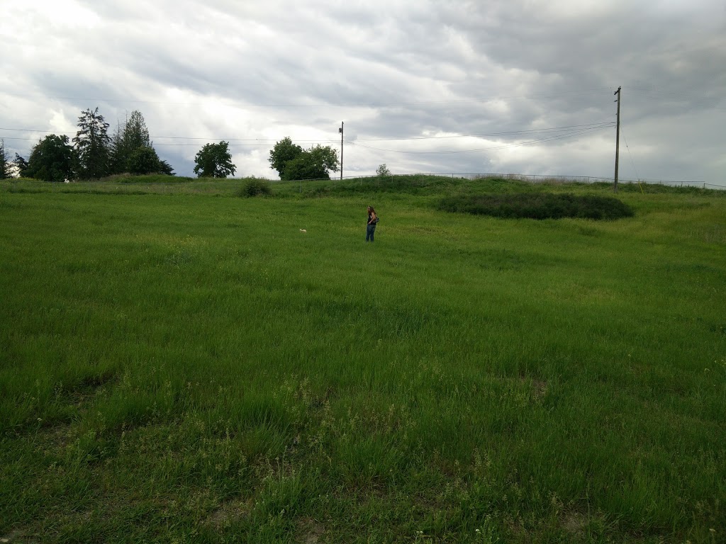 Ellison Dog Park | 4720 Old Vernon Rd, Kelowna, BC V1X 7V6, Canada
