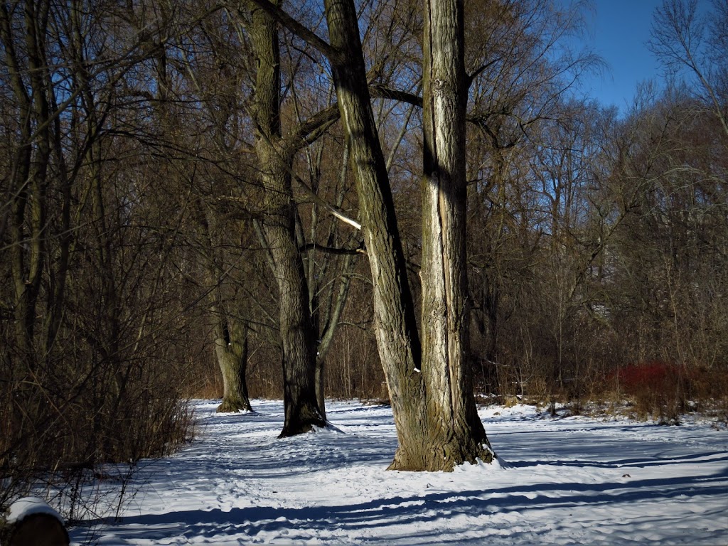 Pomona Mills Park | 244 Henderson Ave, Markham, ON L3T, Canada