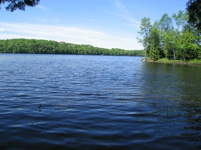 Lake District Realty Corporation | 14202 Road 38, Sharbot Lake, ON K0H 2P0, Canada | Phone: (613) 279-2108