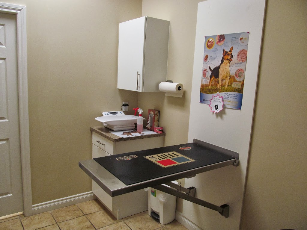 Edmonton Spay and Neuter Clinic | 13667 66 St NW, Edmonton, AB T5C 0B8, Canada | Phone: (780) 756-6062