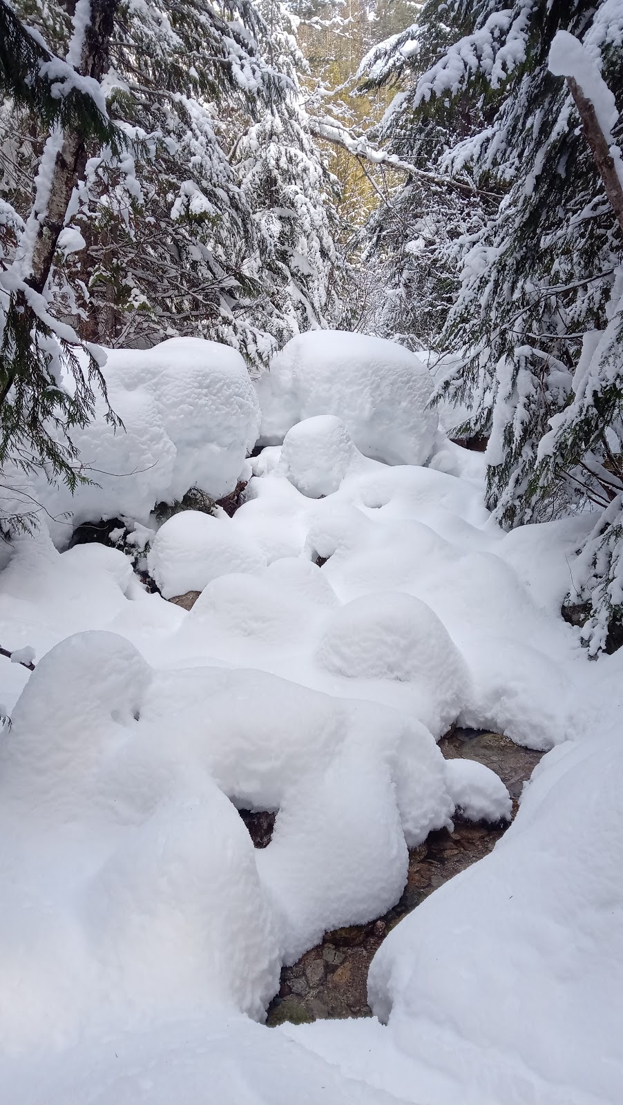 Highline Trailhead | Canada, British Columbia, Britannia Beach, Unnamed Road邮政编码: V0N 1J0