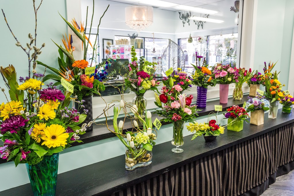 Avenida Grower Direct | 12445 Lake Fraser Dr SE #613, Calgary, AB T2J 7A4, Canada | Phone: (403) 278-8338