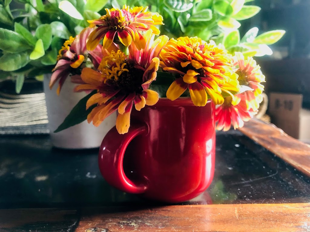 Flor gardens | Fourth Line Nassagaweya, Rockwood, ON N0B 2K0, Canada | Phone: (416) 573-3887