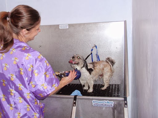 Kims Pampered Pets | 1192 Benson St, Innisfil, ON L9S 1Y4, Canada | Phone: (705) 294-2712