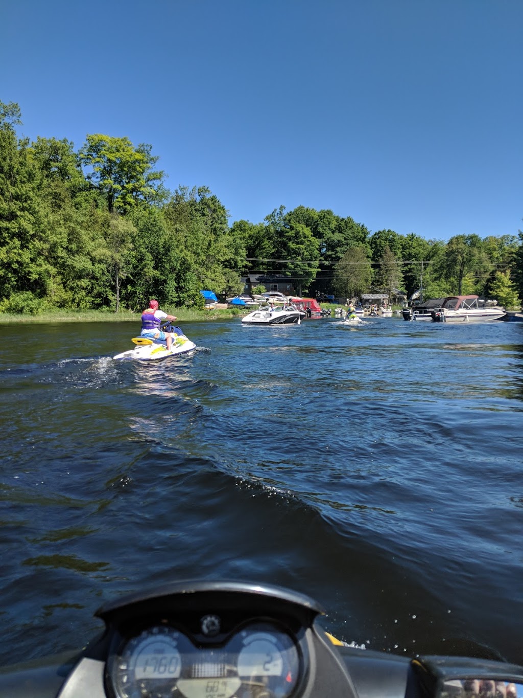 Little Gull Marina | 144 Mississauga Lake Rd, Trent Lakes, ON K0L 1J0, Canada | Phone: (705) 657-9088