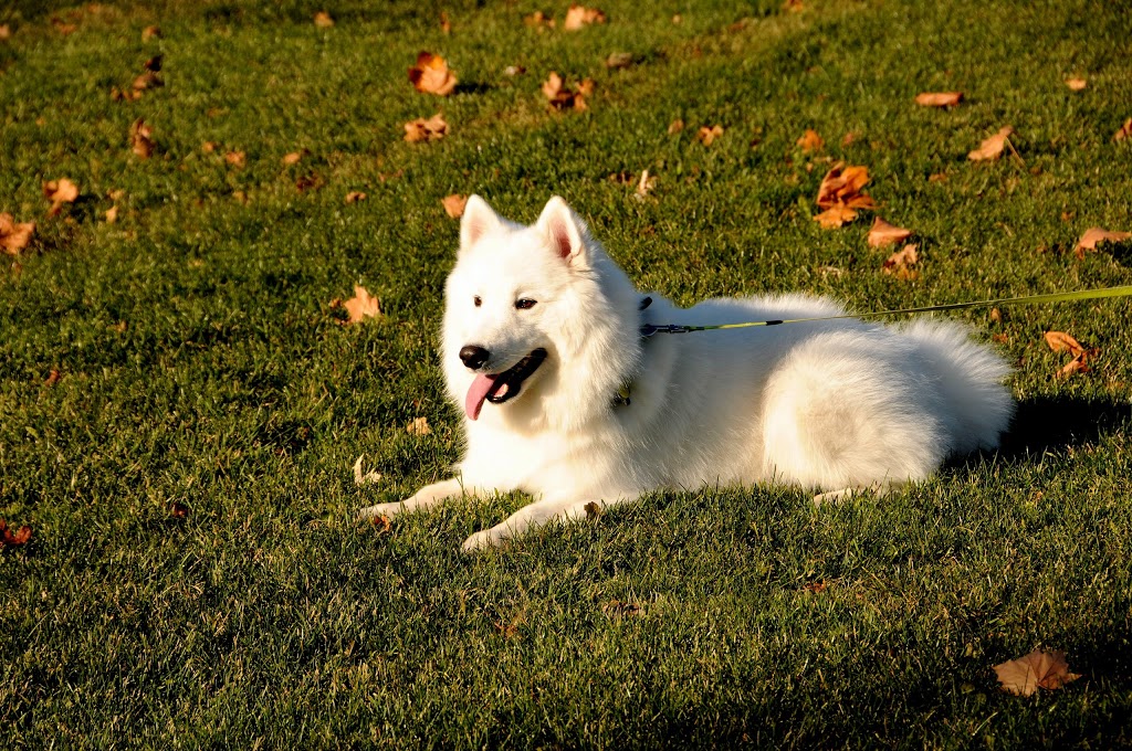 Port Royal Park | 50 Port Royal Trail, Scarborough, ON M1V 2G8, Canada | Phone: (416) 338-5058