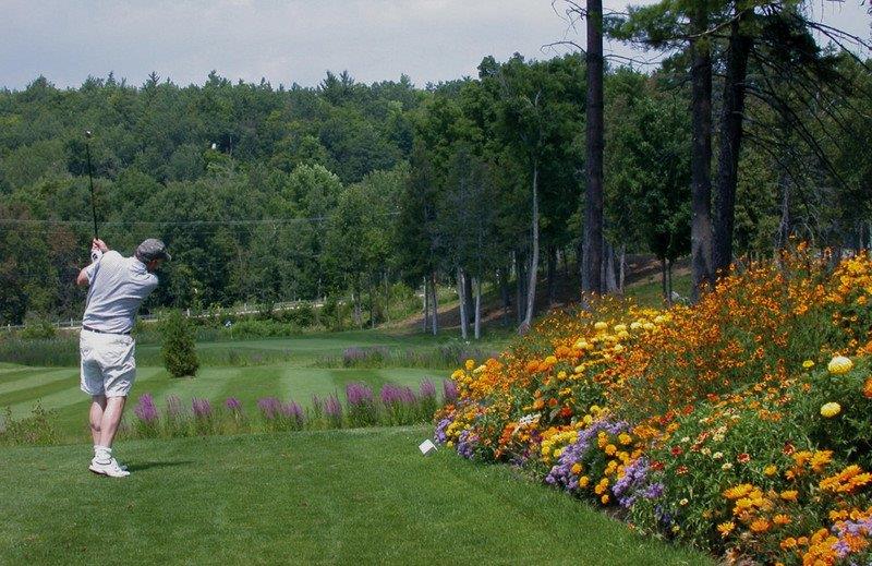No Worries Chalet | 95 Viewmount Dr, Calabogie, ON K0J 1H0, Canada | Phone: (613) 297-1704