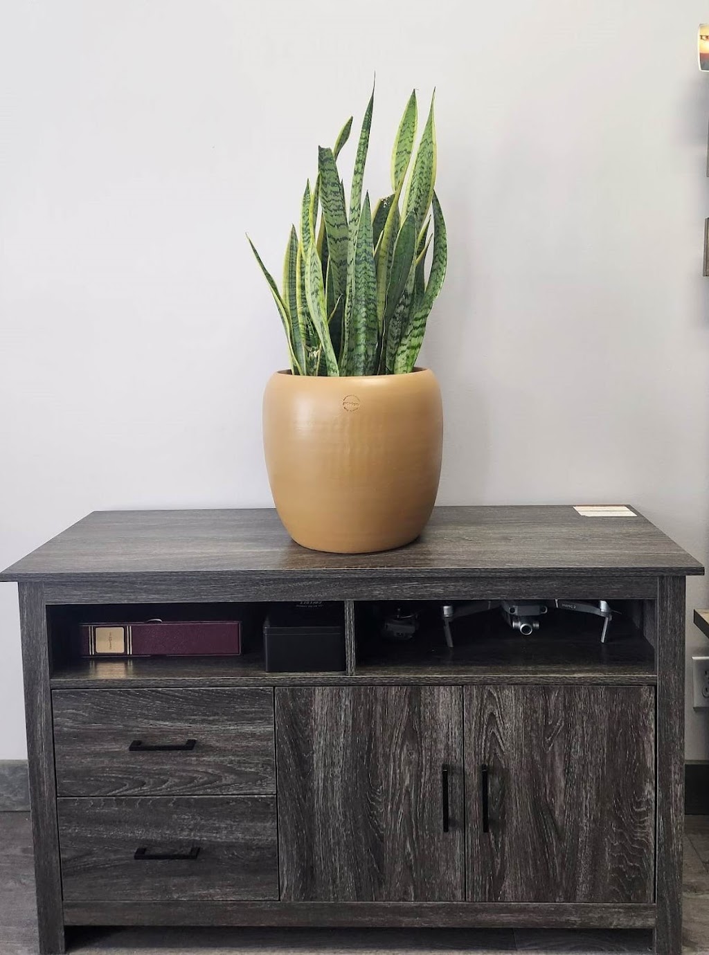 Plantes et créations C&A | 350 Rue Principale #4, Eastman, QC J0E 1P0, Canada | Phone: (418) 922-0413