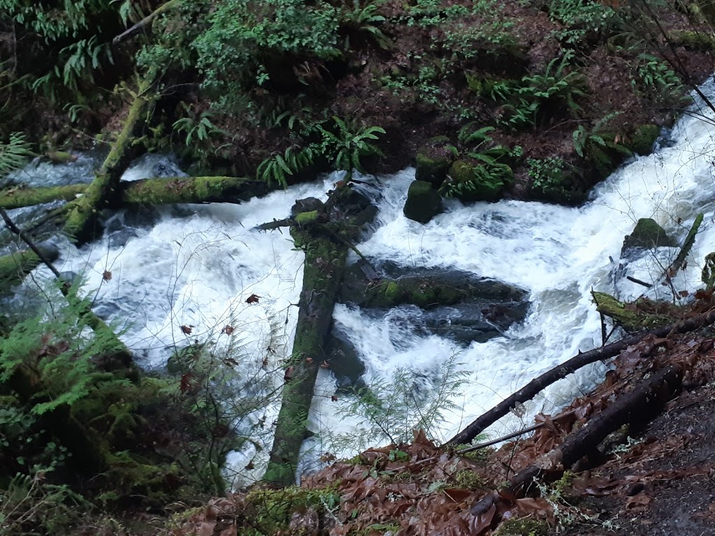 Tod Inlet trail Entrance. | 6537 Wallace Dr, Brentwood Bay, BC V8M 1J8, Canada