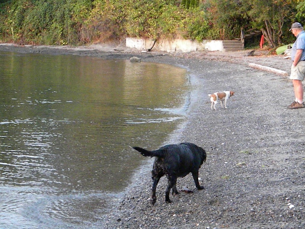 Deluxe Dog Sitting Digs | Elizabeth Dr, Salt Spring Island, BC V8K 1J5, Canada | Phone: (250) 537-5959