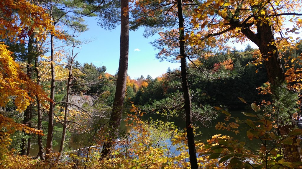 Lauriault Trail | Promenade Champlain, Chelsea, QC J9J, Canada