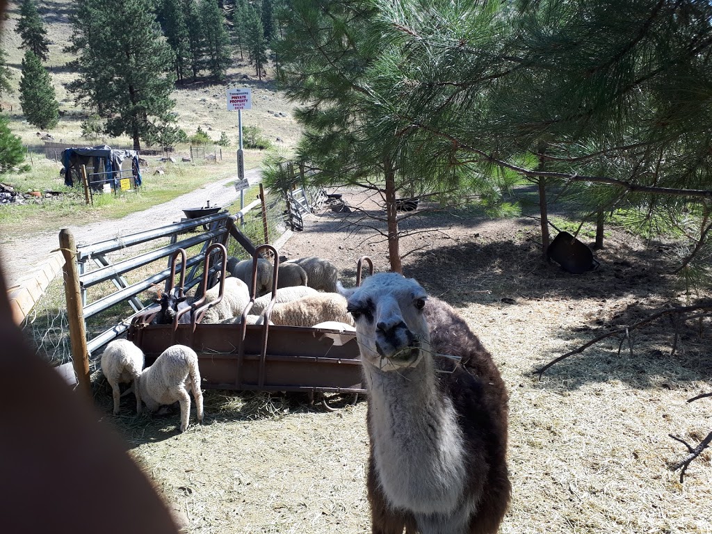 KARL Ranch | 3585 Bubar RD, RR2 S101 C28, Rock Creek, BC V0H 1Y0, Canada | Phone: (250) 486-3856