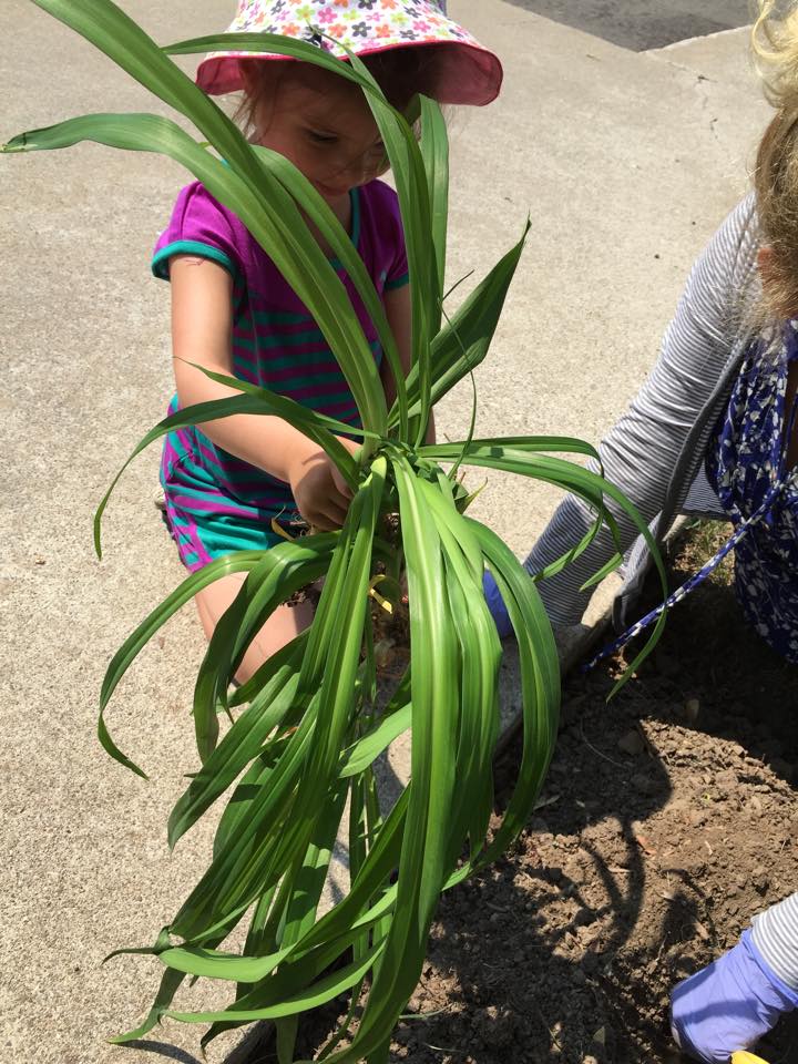 Headon Forest Montessori | 2600 Headon Forest Drive, Burlington, ON L7M 4G2, Canada | Phone: (905) 315-8385