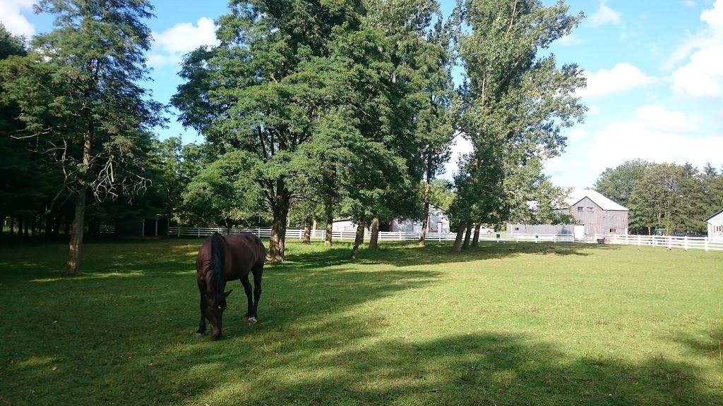 Mountsberg Conservation Area | 2259 Milburough Line, Campbellville, ON L0P 1B0, Canada | Phone: (905) 854-2276