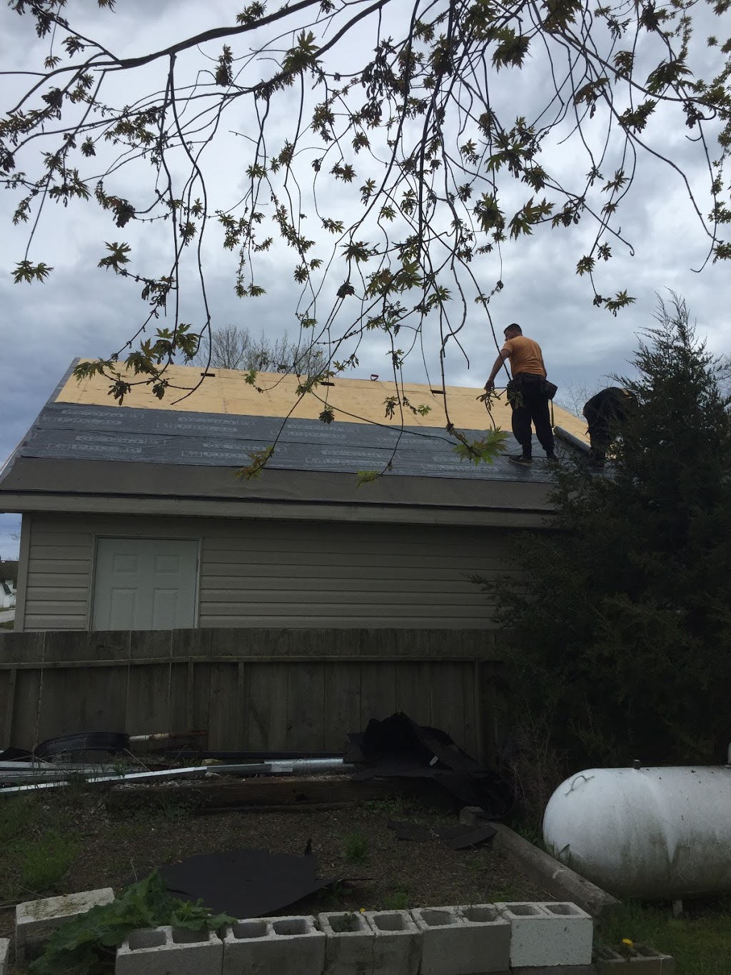 CDR Roofing | 19 Jasmine St, Hamilton, ON L8V 2M8, Canada | Phone: (905) 962-1206