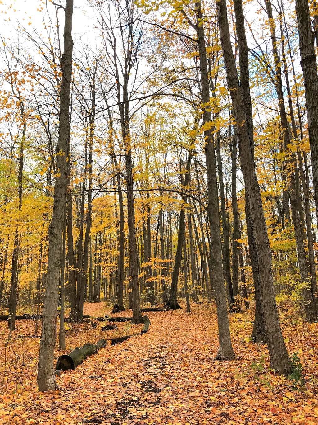 West Ridge Park | 900 W Ridge Blvd, Orillia, ON L3V 7X1, Canada