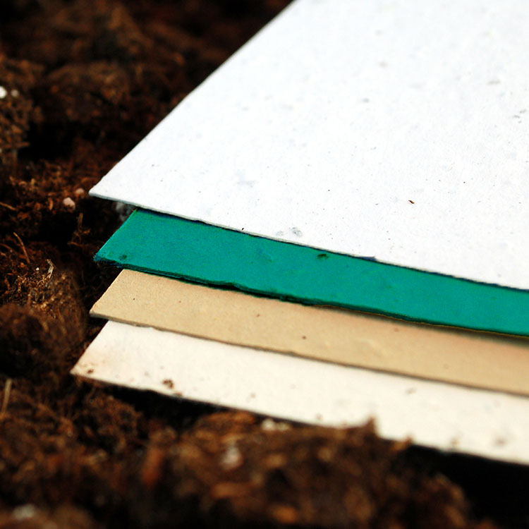 Botanical PaperWorks | 111 Pacific Ave, Winnipeg, MB R3B 0M1, Canada | Phone: (877) 956-7393