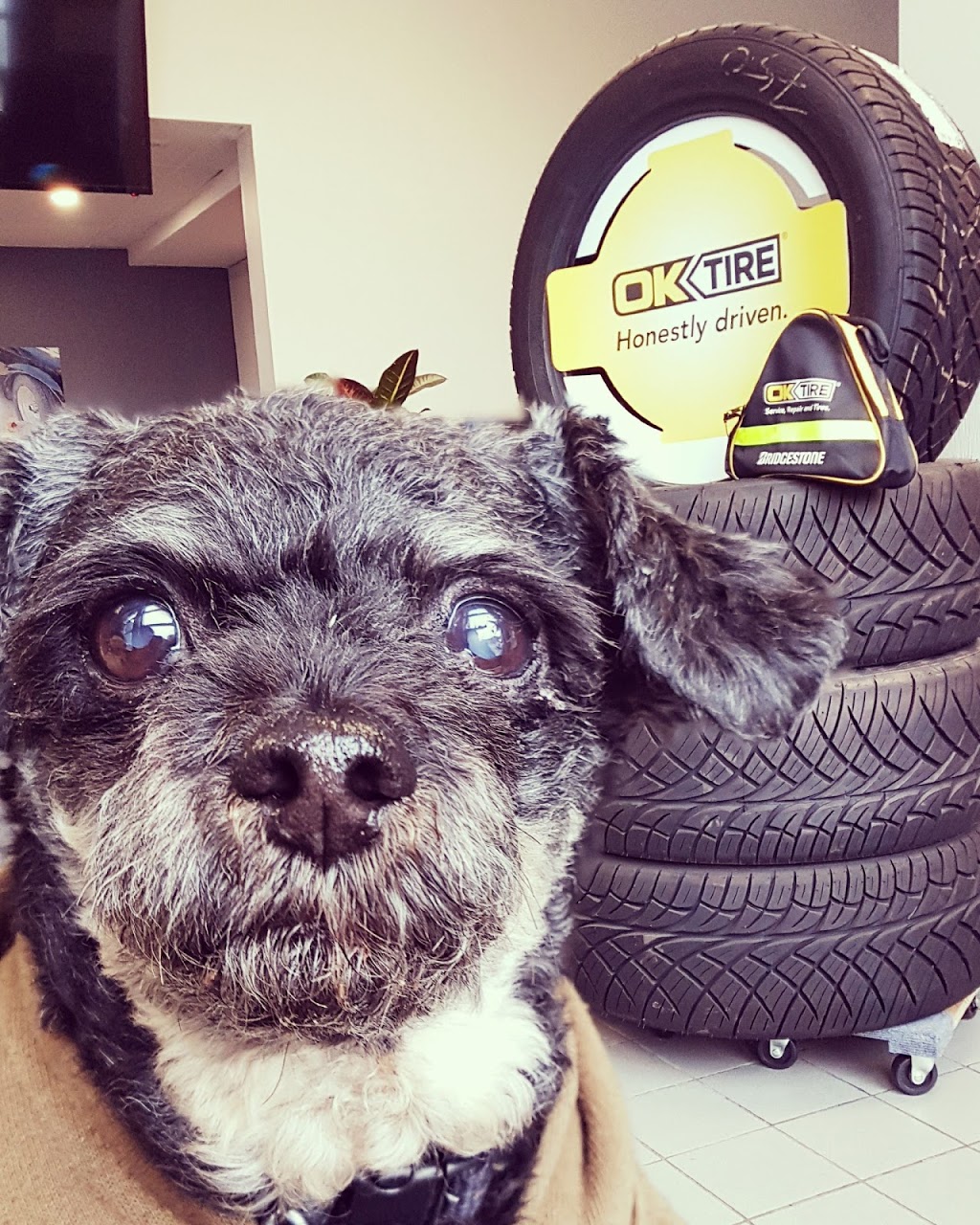 OK Tire | 2001 Portage Ave, Winnipeg, MB R3J 0K2, Canada | Phone: (204) 895-8536