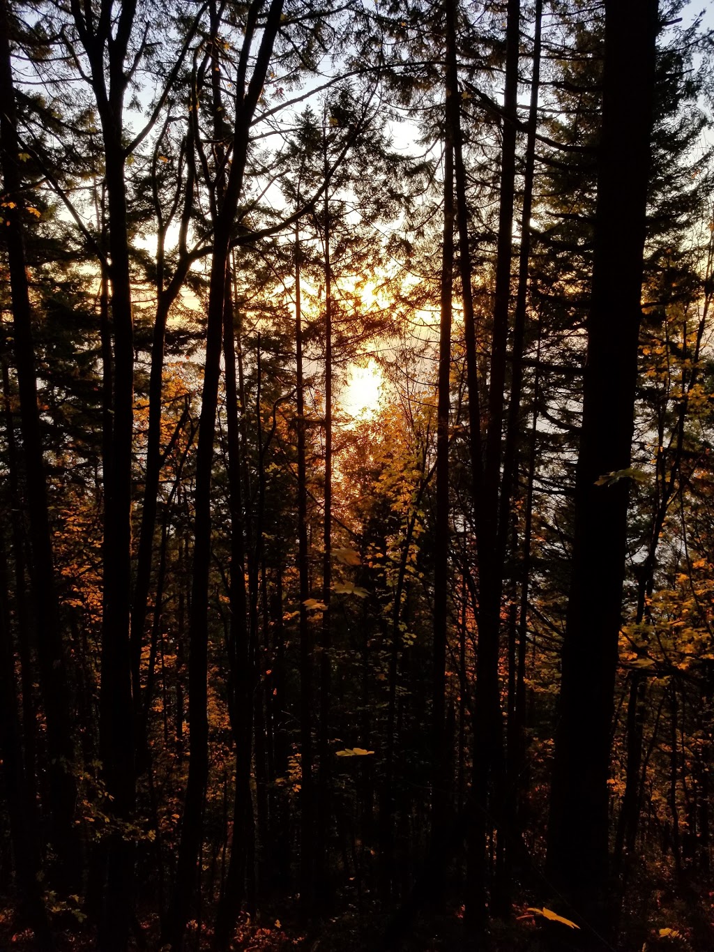 Oyster Dome Trailhead | Pacific NW Trail, Bow, WA 98232, USA