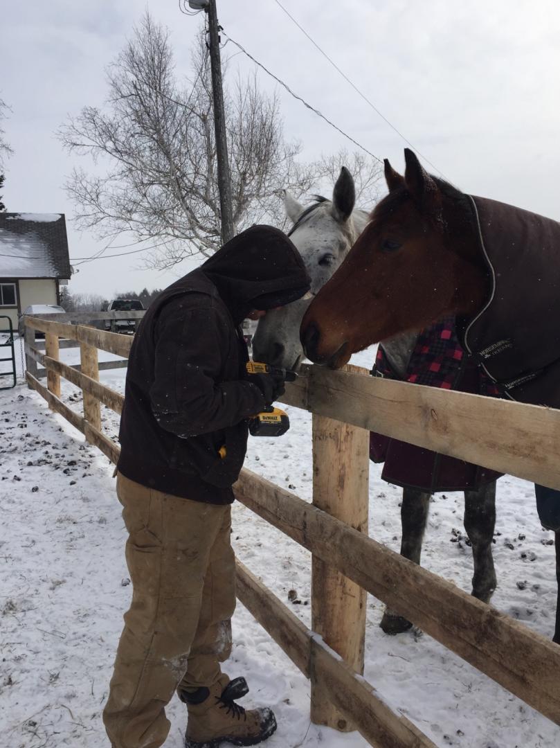 Royaleigh Acres | 9575 Side Rd 5, Erin, ON N0B 1T0, Canada | Phone: (905) 616-0513