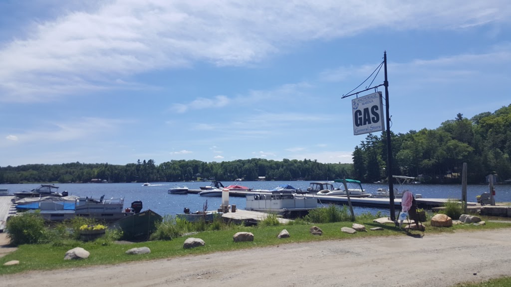 Anchorage Marina & Trailer Park | 1031 Jack Lake Rd, Apsley, ON K0L 1A0, Canada | Phone: (705) 656-4392