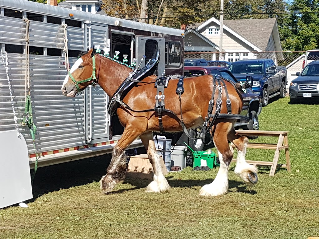 Caledonia Fairgrounds | 151 Caithness St E, Caledonia, ON N3W 1C2, Canada | Phone: (905) 765-6861