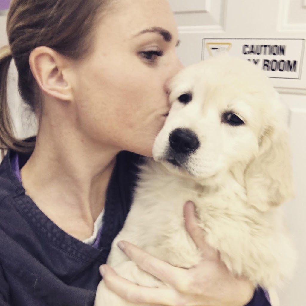 Dr. Aerin Greidanus, Animal Chiropractor | 6 Booth St, Minden, ON K0M 2K0, Canada | Phone: (705) 955-1301