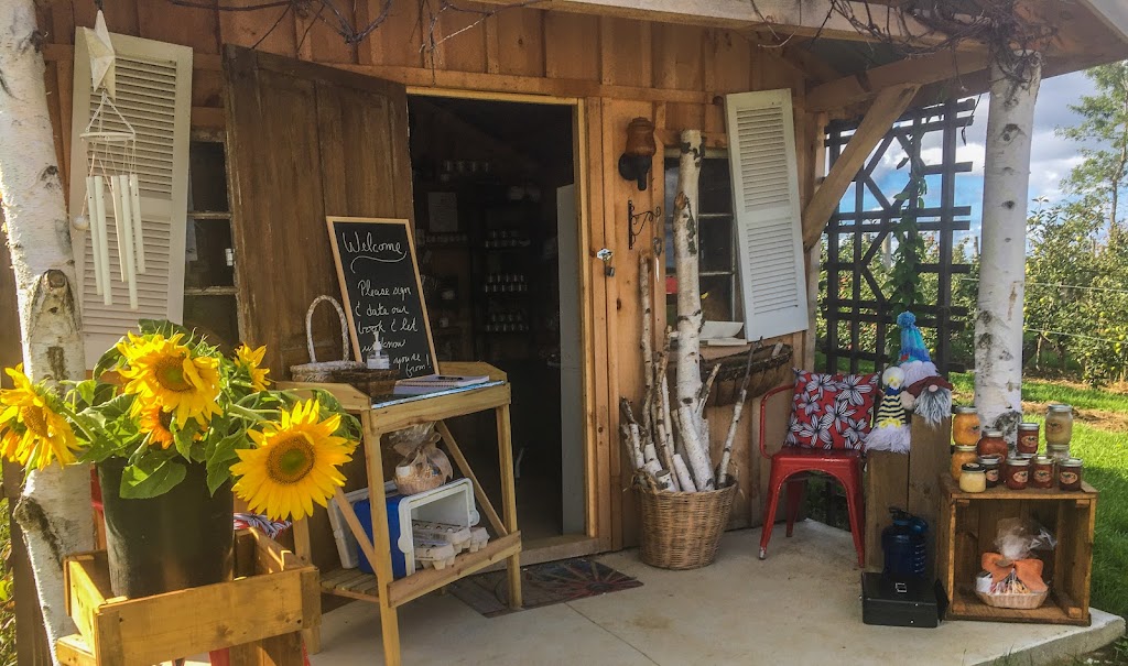 Peninsula Acres | 1097 Hwy 6, South Bruce Peninsula, ON N0H 2T0, Canada | Phone: (519) 377-2942