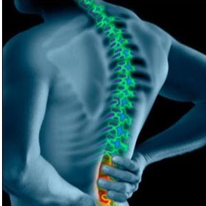 Dr Paul Chauhan | 20691 Lougheed Hwy, Maple Ridge, BC V2X 2P9, Canada | Phone: (604) 465-3040