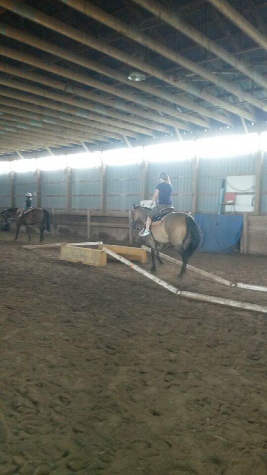 Fox Lair Stables | 843 Concession 1 Rd, Canfield, ON N0A 1C0, Canada | Phone: (905) 774-1373