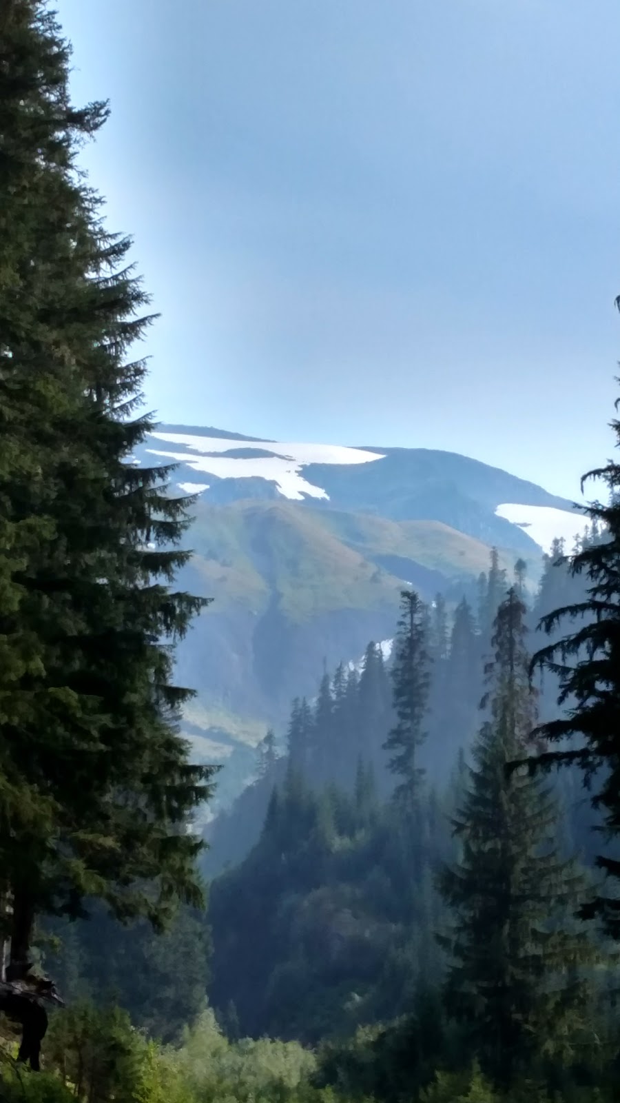 Heliotrope Ridge Trailhead | Deming, WA 98244, USA | Phone: (360) 856-5700
