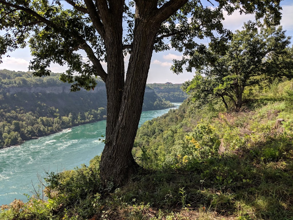 Niagara Glen Nature Centre | 3050 Niagara Pkwy, Niagara Falls, ON L2E 3E8, Canada