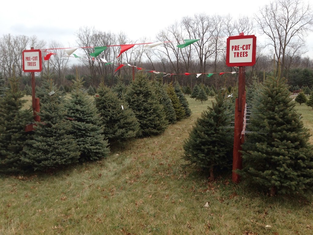 Shea Christmas Tree Farm | store | 6214 Shea Rd, Marine City, MI 48039, USA | 8107655882 OR +1 810-765-5882