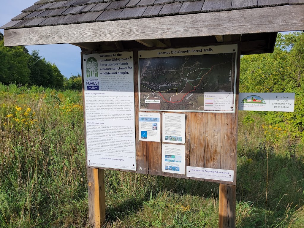 Marden Creek Hike - Parking Lot | Rockwood, ON N1H 6J2, Canada | Phone: (519) 824-1250 ext. 224