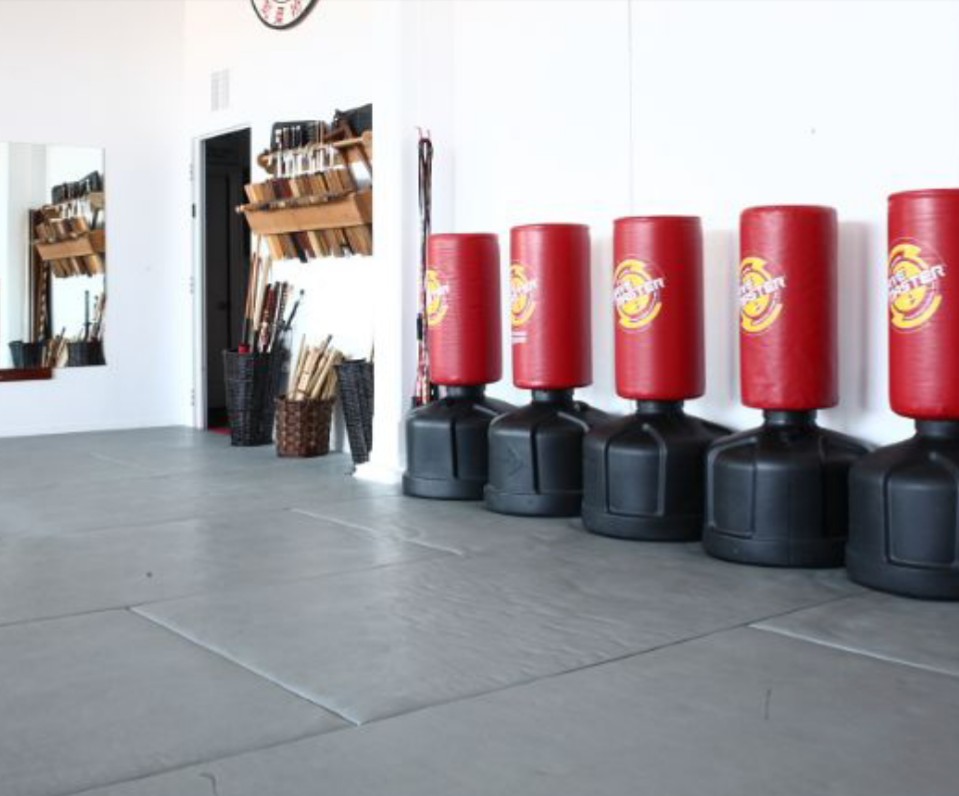 New Toronto Academy Of Martial Arts | 222 Islington Ave Unit 5, Etobicoke, ON M8V 3W7, Canada | Phone: (416) 503-3157