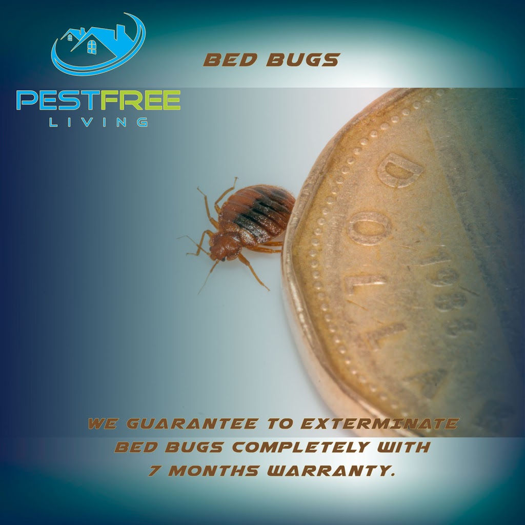 Pestfreeliving.ca | 12 Penelope St, Brampton, ON L6P 3H7, Canada | Phone: (416) 321-5060