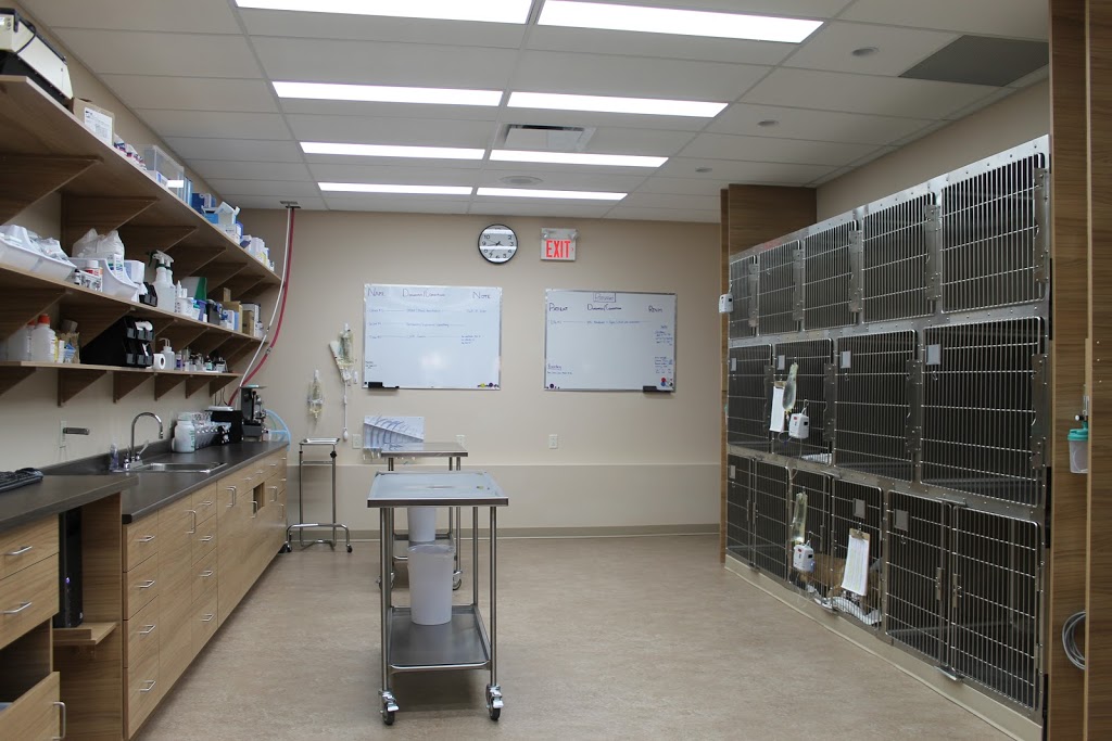 Grey Cove Veterinary Health Centre | 140 Canaan Dr, Dieppe, NB E1A 9J2, Canada | Phone: (506) 854-8282