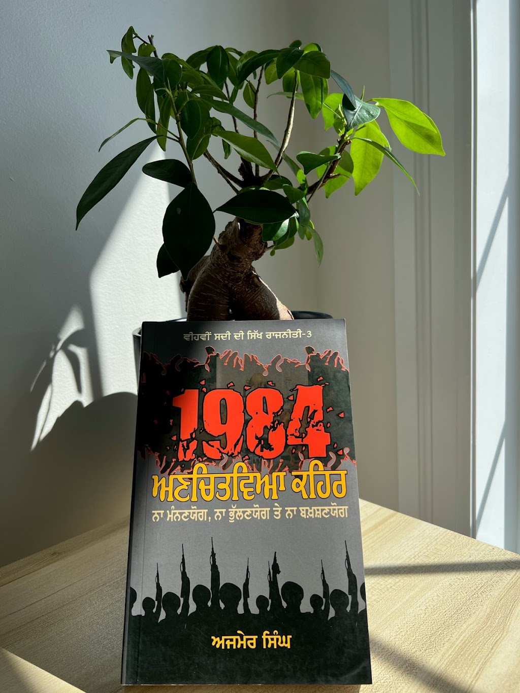 Virsa the heritage bookstore | 2619 Sheffield Blvd #31, London, ON N6M 0G4, Canada | Phone: (647) 529-0051