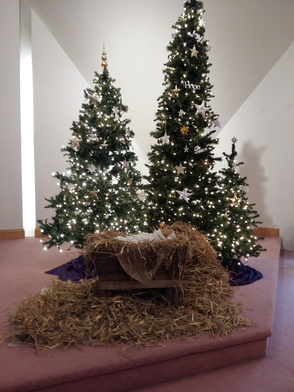 Calvary Christian Reformed Church | 3782 Russell Rd, Ottawa, ON K1G 3N2, Canada | Phone: (613) 737-4063