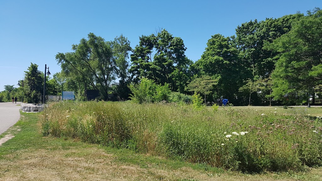 Superior Park | 1Y Superior Ave, Etobicoke, ON M8V 2M1, Canada | Phone: (416) 338-4386