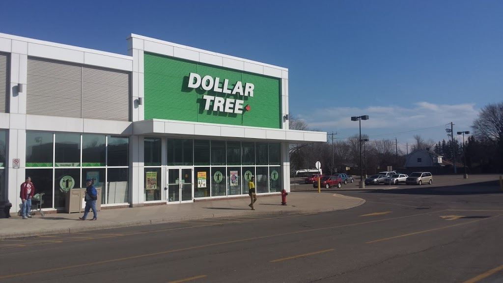 Dollar Tree | 300 King George Rd j1, Brantford, ON N3R 5L8, Canada | Phone: (519) 752-8088